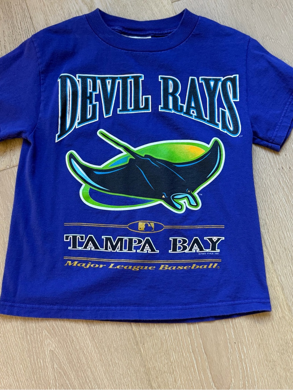 Lee Kids Blue 'Devil Rays' Graphic Tee with Green Accent